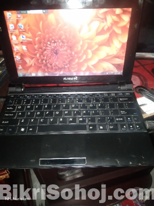 Flora pc